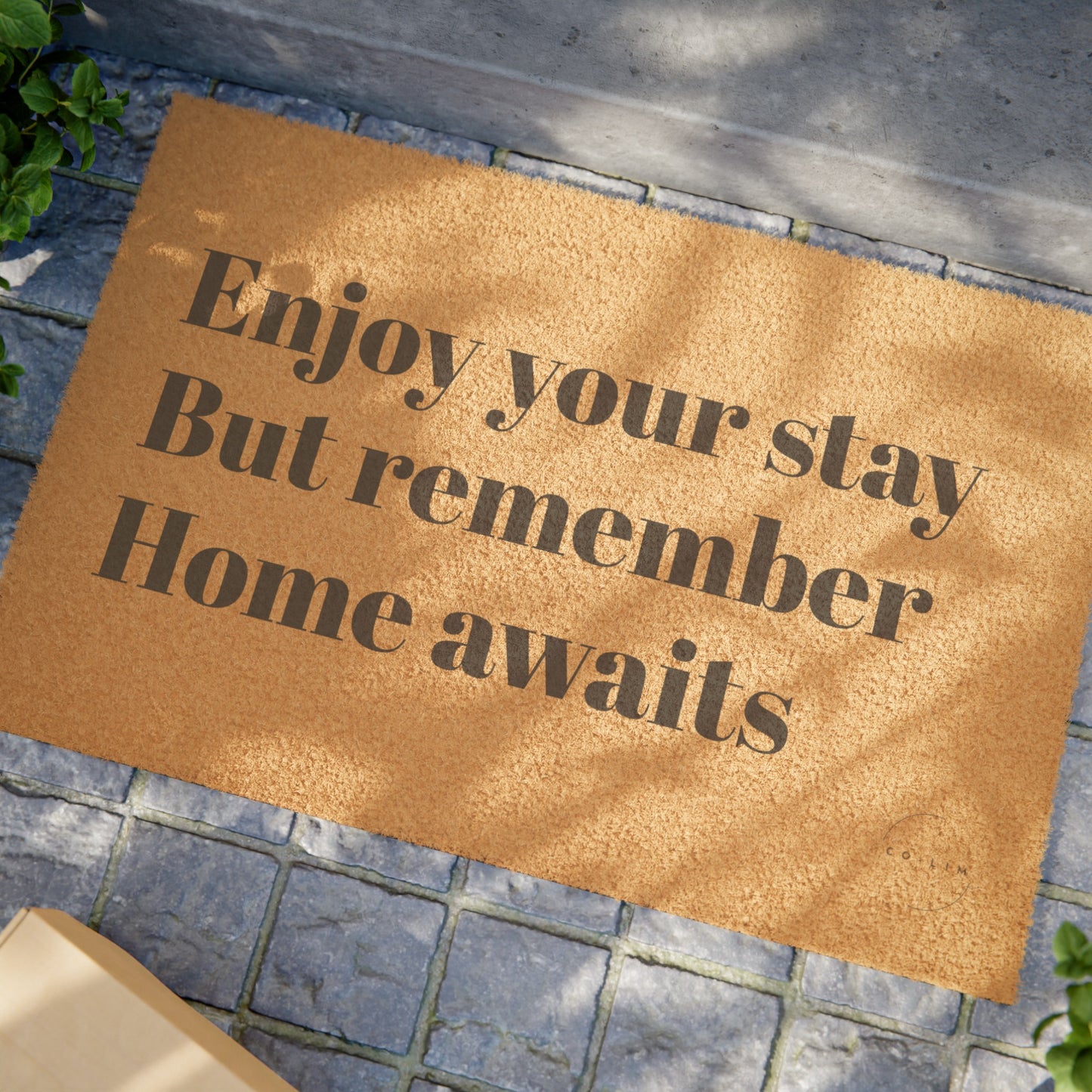 Doormat Funny Home Decoration